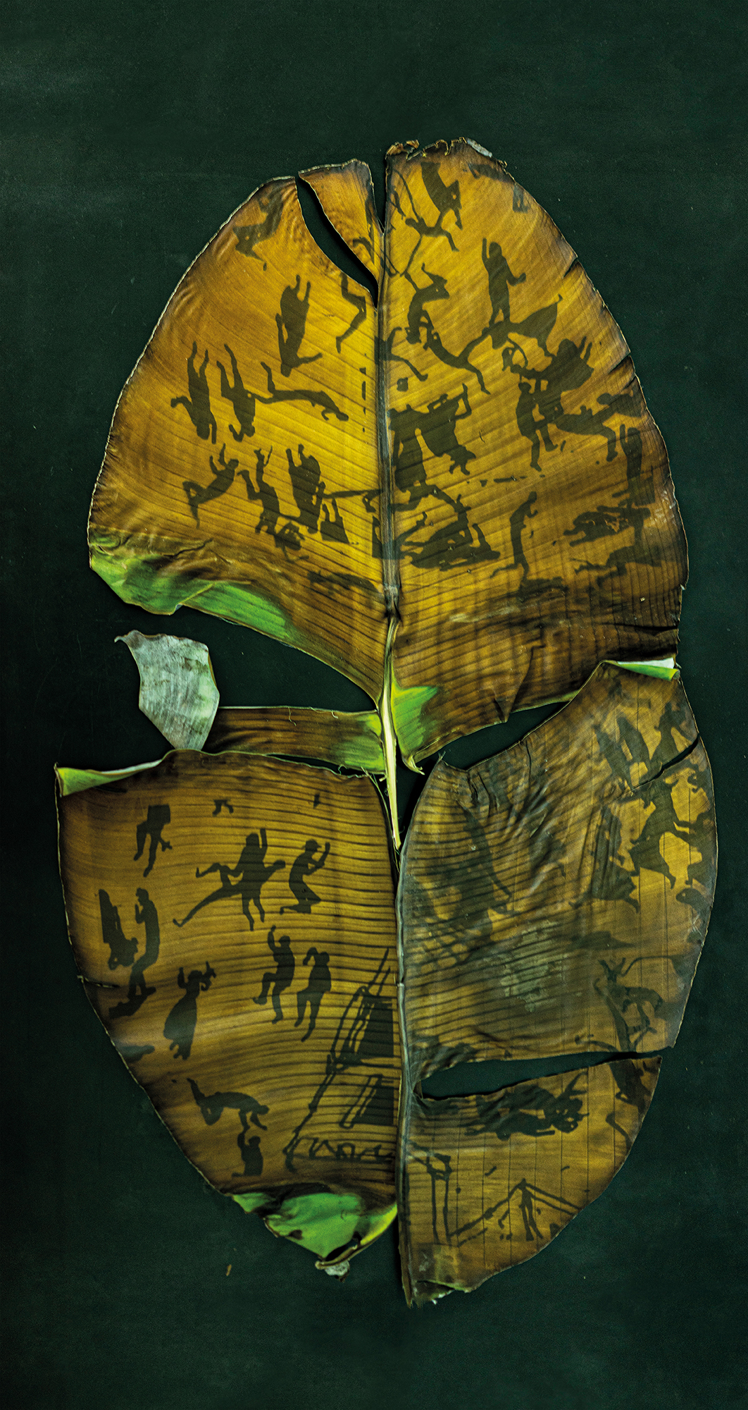 ORO PARECE, PLÁTANO ES